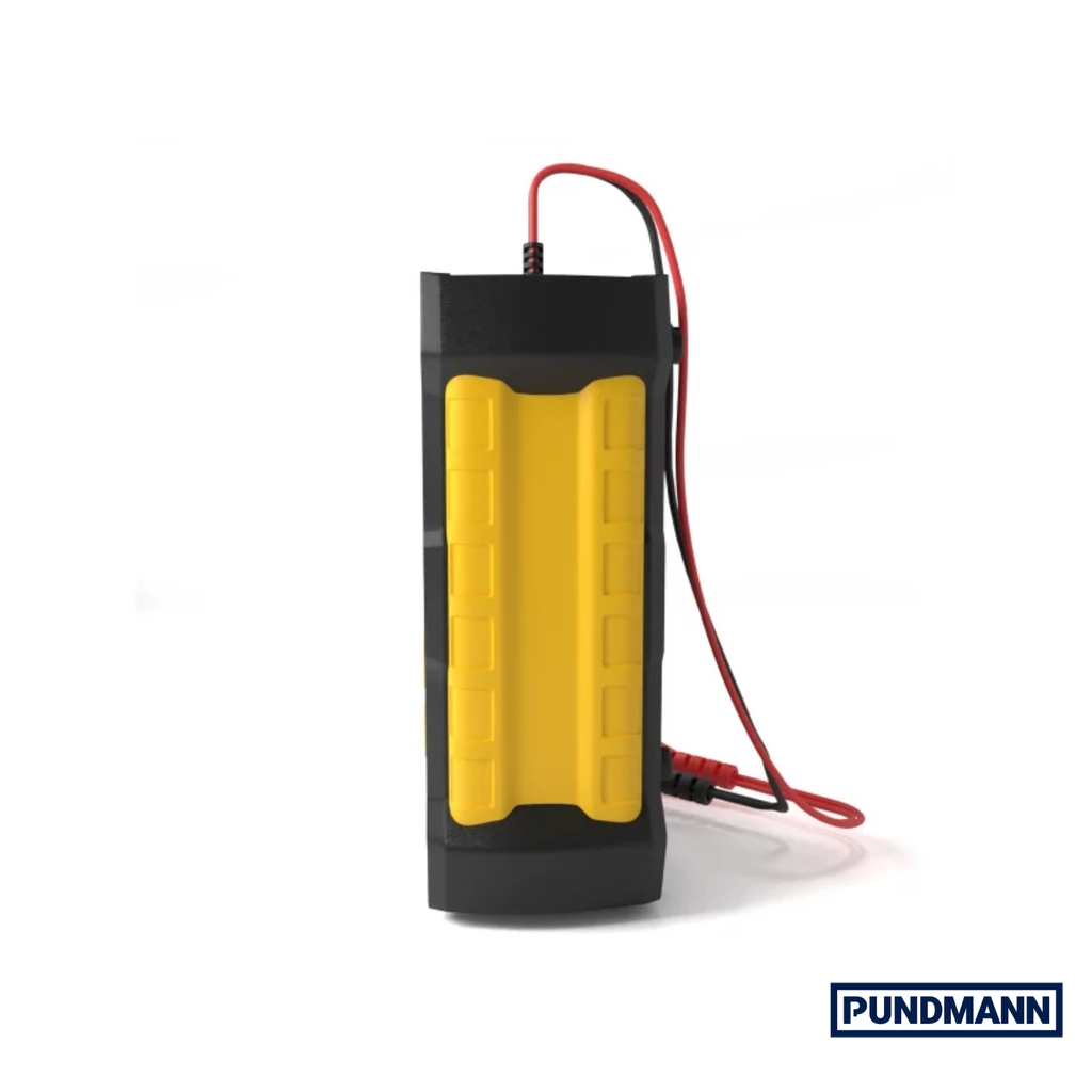 Chargeur Konnwei 12 V DC / 5 – 6 A